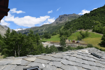 Vue sur les pistes et montagne Caribou